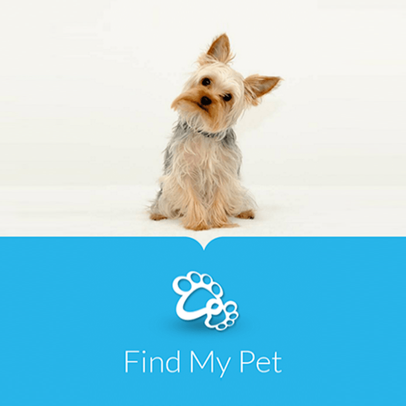 Find my Pet